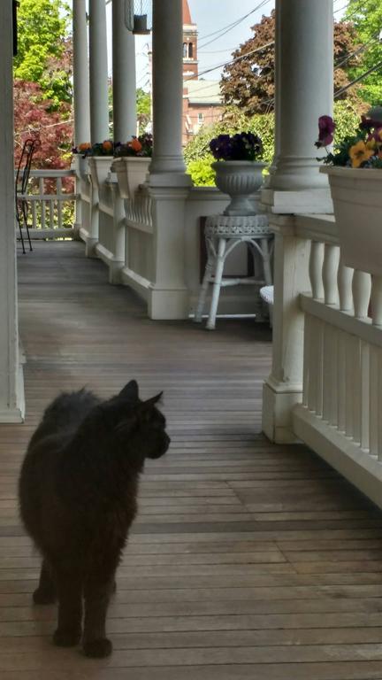 The Sleigh Maker Inn Bed And Breakfast Westborough Dış mekan fotoğraf